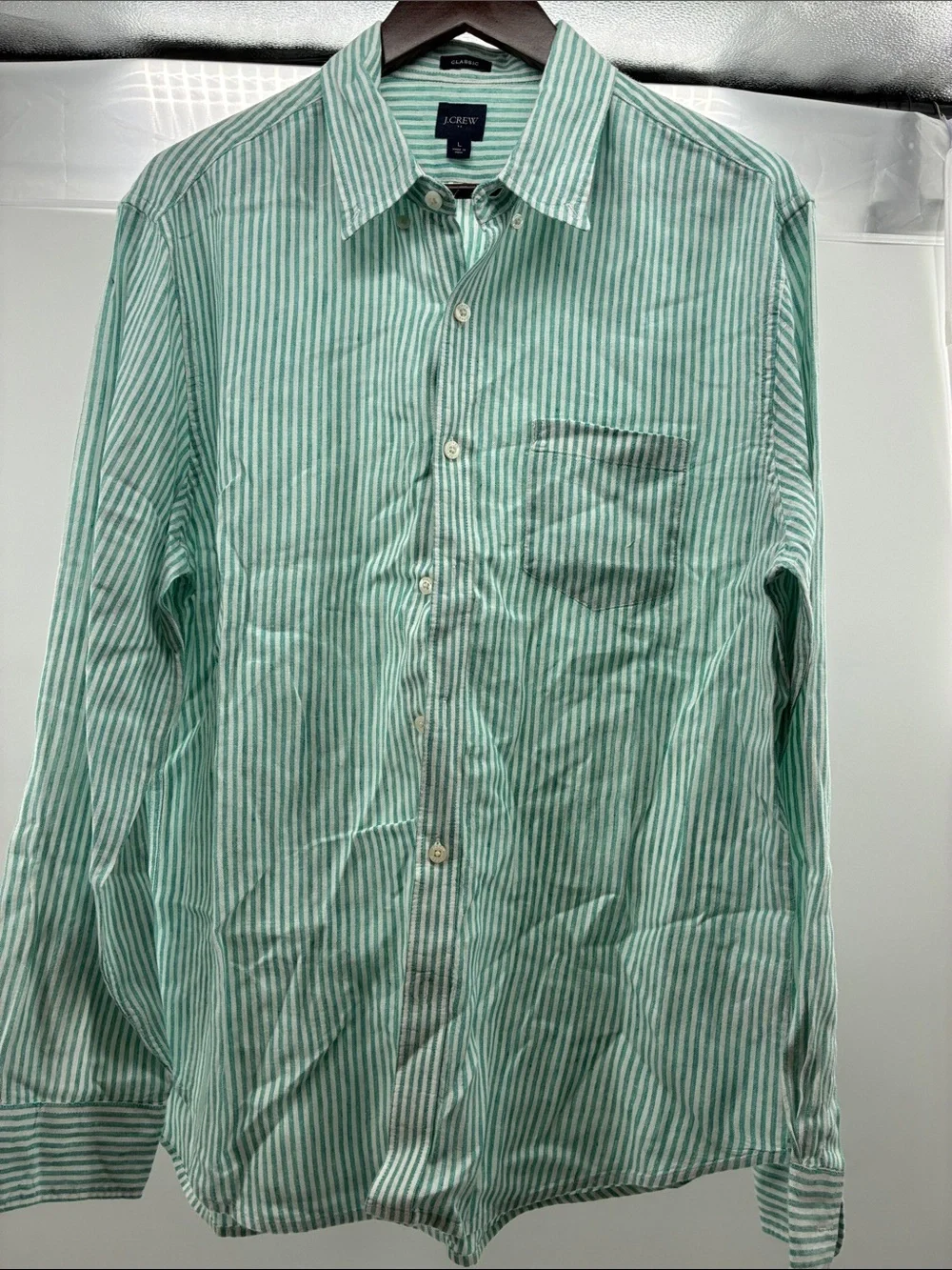 J. Crew Mint Green and White Striped Cotton Button-Down Shirt